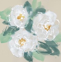 Framed Peonies on Cream I