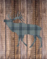 Framed Elk Woods