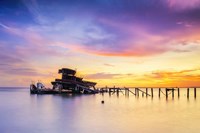 Framed Bones of Lake Pontchartrain