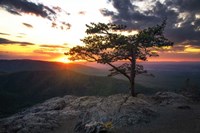 Framed Sunset at Ravens Roost