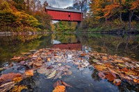 Framed Autumn at Slaughter House Bridge