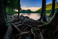 Framed Jordan Pond Through The Trees