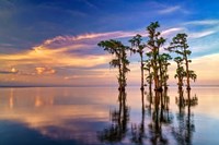 Framed Dusk on Lake Maurepas