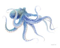 Framed Undersea Octopus