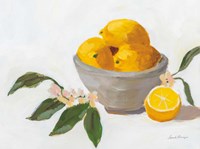Framed Lemons in Grey Bowl