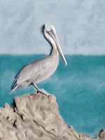 Framed Pelican Perch