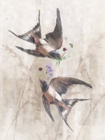 Framed Playful Swallows