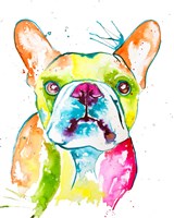 Framed Colorful Frenchie