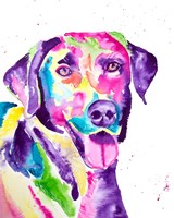 Framed Colorful Black Lab