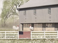 Framed Patriotic Roosters