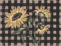 Framed Sunflowers Plaid II