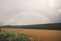 Framed Summer Rainbow