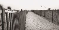 Framed Beach Path