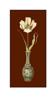 Framed Tulip in Vase III