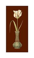 Framed Tulip in Vase IV