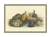 Framed Melons and Gourds