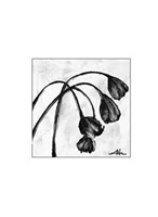 Framed Mini Swooning Tulips I (NA)