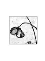 Framed Mini Swooning Tulips II (NA)
