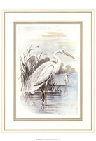 Framed White Heron