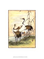 Framed Oriental Cranes I