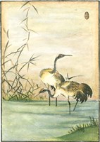 Framed Oriental Cranes II