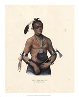 Framed Winnebago Chief