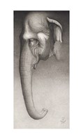 Framed Toni, The Elephant