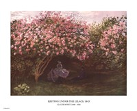 Framed Resting under the Lilacs