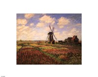 Framed Tulip Fields with Windmill