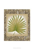 Framed Exotic Palm Leaf II
