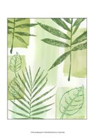 Framed Leaf Impressions IV
