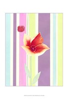 Framed Flowers & Stripes IV