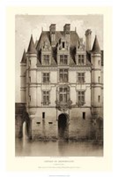 Framed Sepia Chateaux V