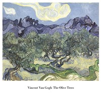 Framed Olive Trees, c.1889 (blue & green)