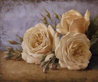 Framed Roses From Ivan