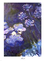 Framed Water Lilies and Agapanthus, 1914-1917