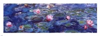 Framed Water Lilies (blue and purple)