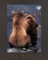 Framed Two Bear Cubs