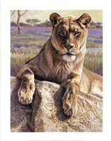 Framed Serengeti Lioness