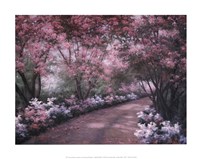 Framed Azalea Walk