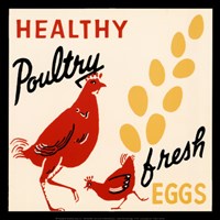 Framed Healthy Poultry-Fresh Eggs