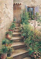 Framed Stairway in Provence