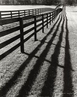 Framed Fences And Shadows, Florida