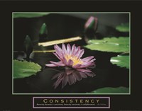 Framed Consistency - Pond Flower