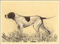 Framed Hunting Dogs-Pointer