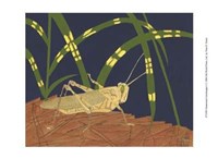 Framed Ornamental Grasshopper I