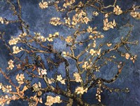 Framed Blossoming Almond Tree, Saint-Remy, c.1890