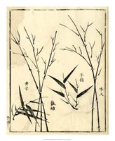 Framed Bamboo Woodblock II