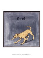 Framed Fetch