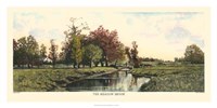 Framed Meadow Brook